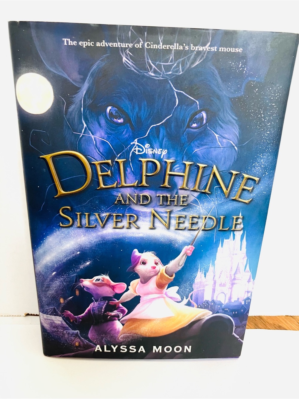 Disney Delphine And The Silver Needle Hard Back Book